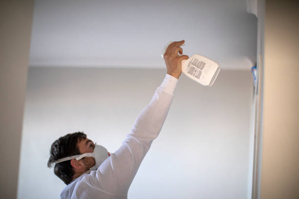 Best Same-Day Mold Removal  in Chamblee, GA