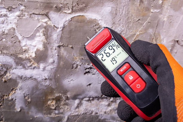 Best Mold Removal Specialists  in Chamblee, GA