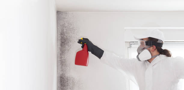 Best Residential Mold Removal  in Chamblee, GA